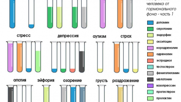 Химия отношений. Гормоны счастья, силы, здоровья, вражды и несчастья. Эндокринология личности, идентичности, привычек, характера и судьбы